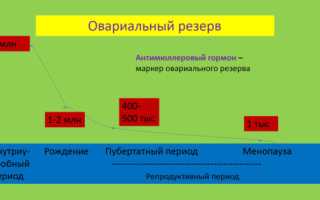 Эко и синдром истощенных яичников