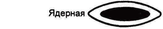 Ядерная катаракта