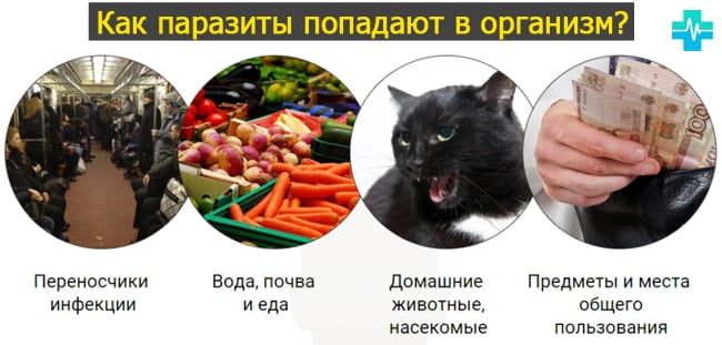 Синдромы при появлении глистов у